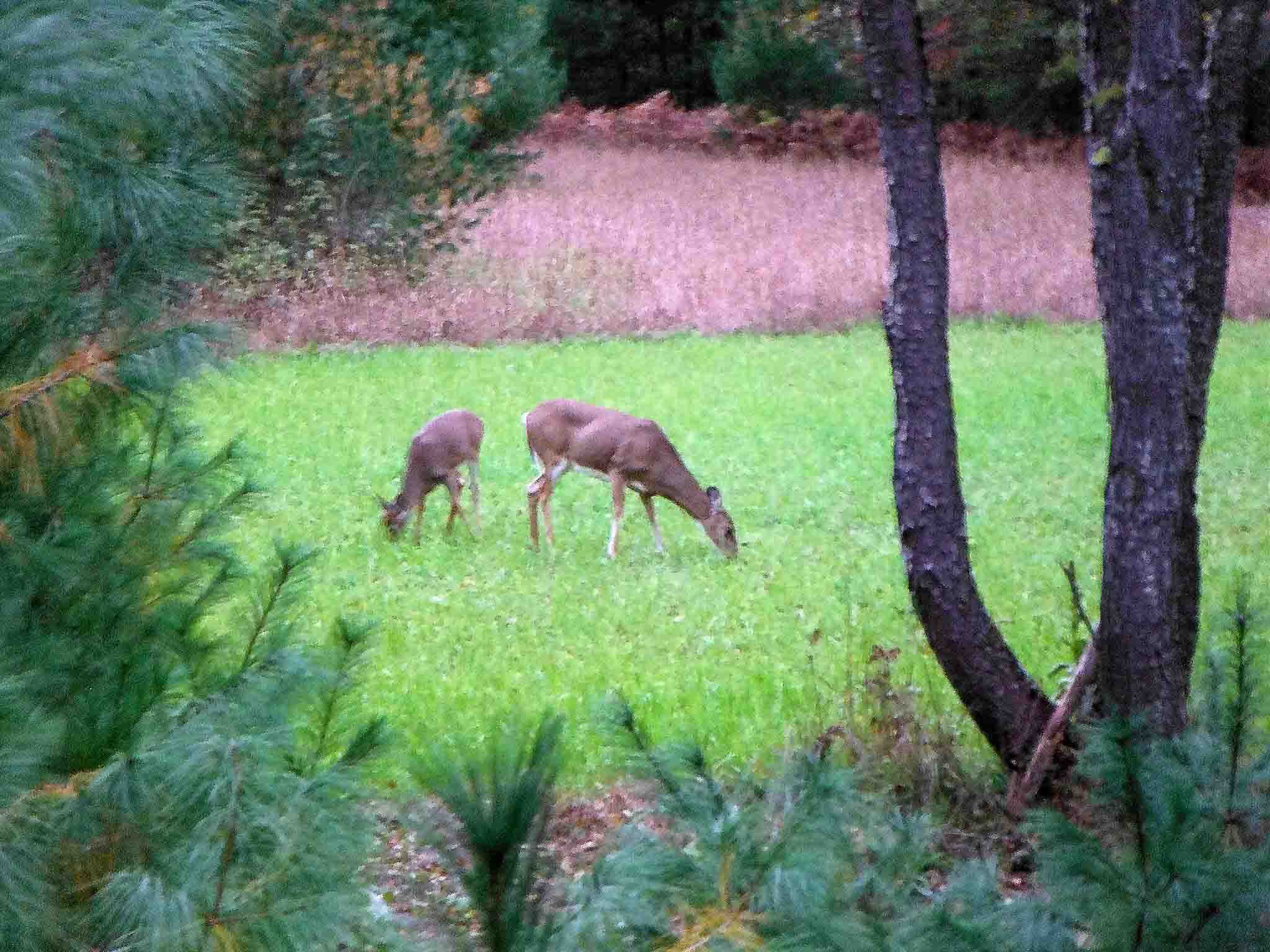Meeting Photo Slide Show